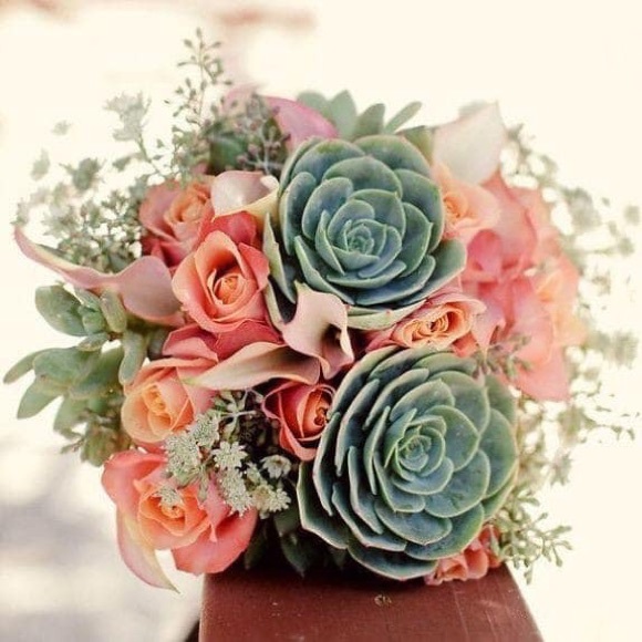 Meet your Posher, Carol - Picture 1 of 1